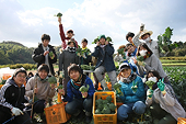 farm_Awaji_Island